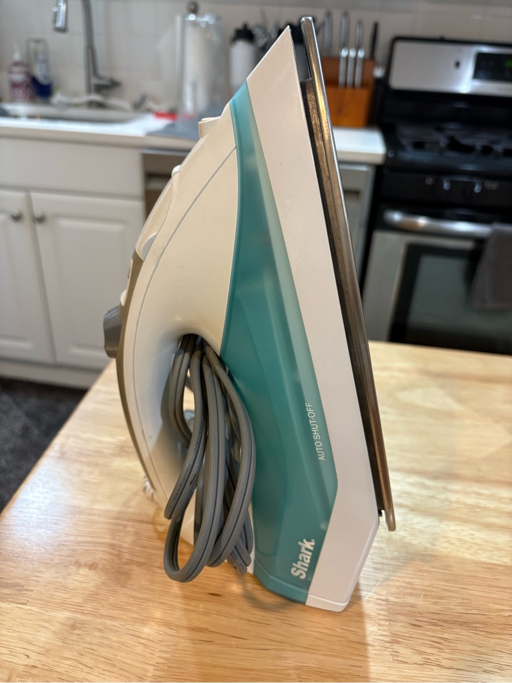 Shark Steam Iron in Teal and White